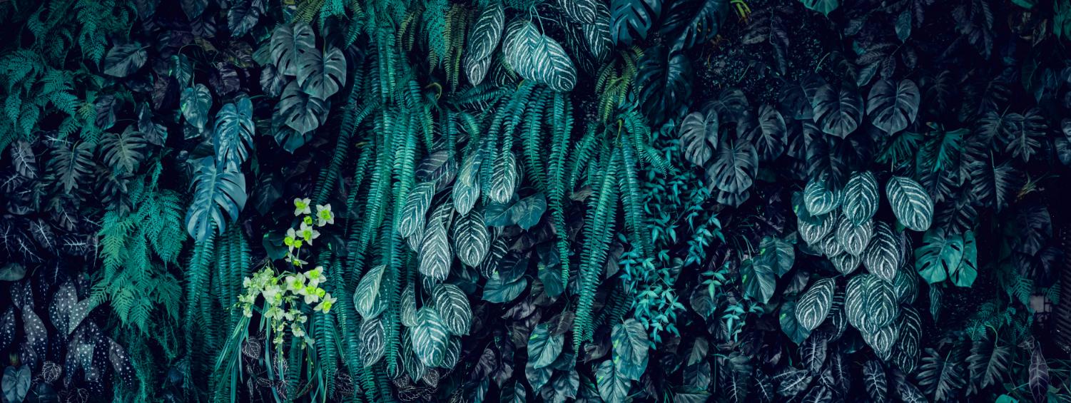 The Value of Spending Time in Nature