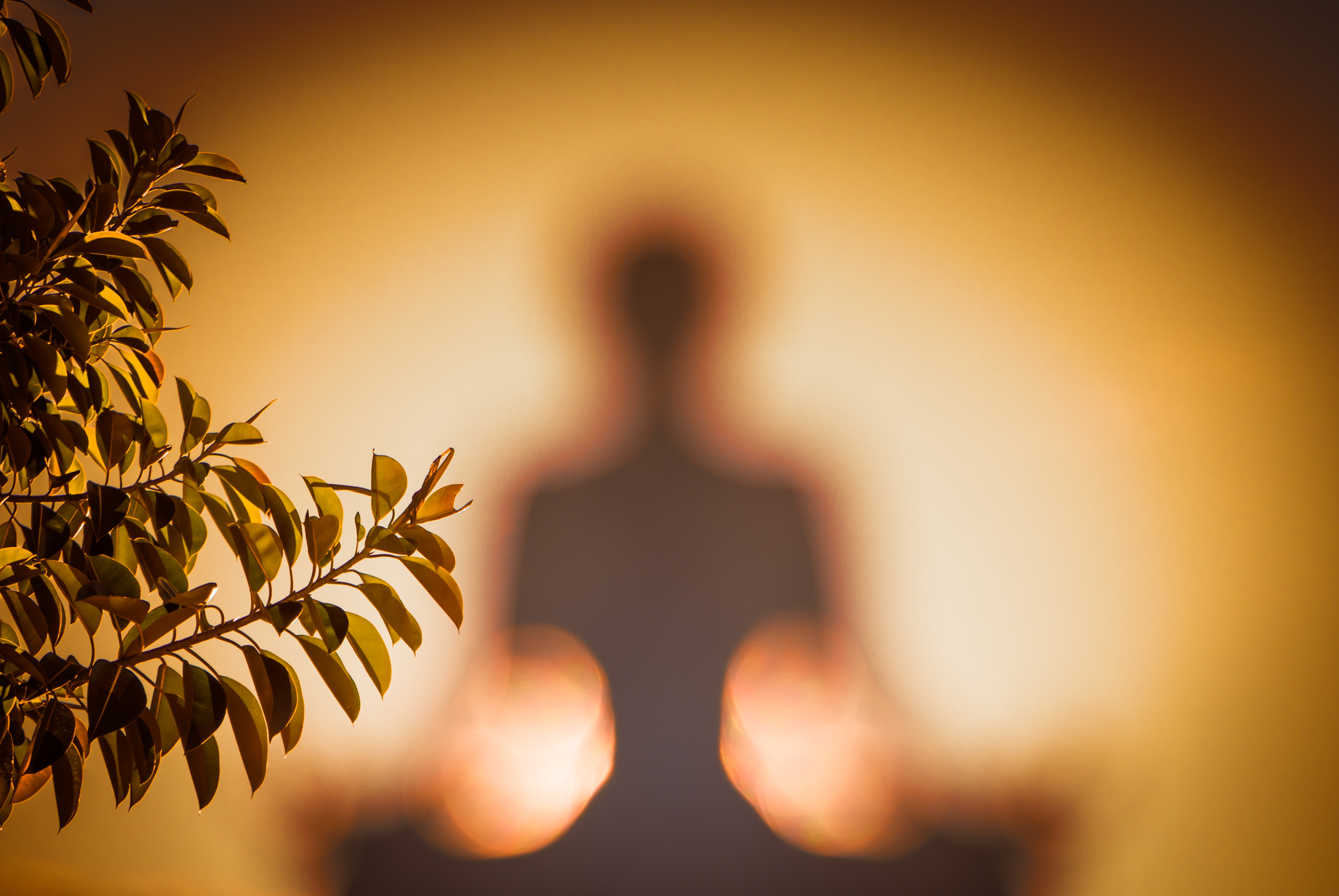 An Introduction to Mindful Breathing